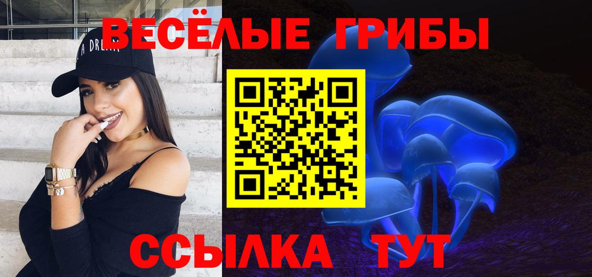 Псилоцибиновые грибы прущие грибы  Вход с VPN  Москва  Галлюциногенные грибы Psilocybine cubensis 