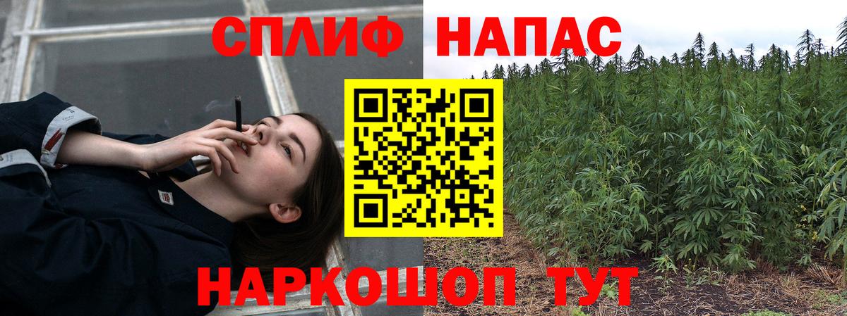 Конопля гибрид Москва